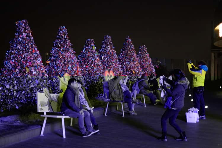 Love Padlocks Trees in N Seoul Tower