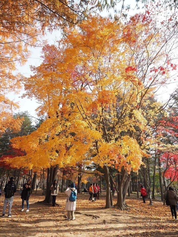 Top 10 Tourist Attractions in Seoul Korea with Photos