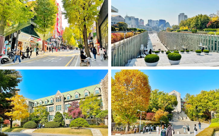 Ewha Womans University Shopping Street