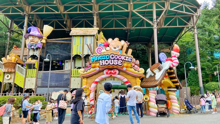 Everland Theme Park: How to Get There & Must-Try Rides