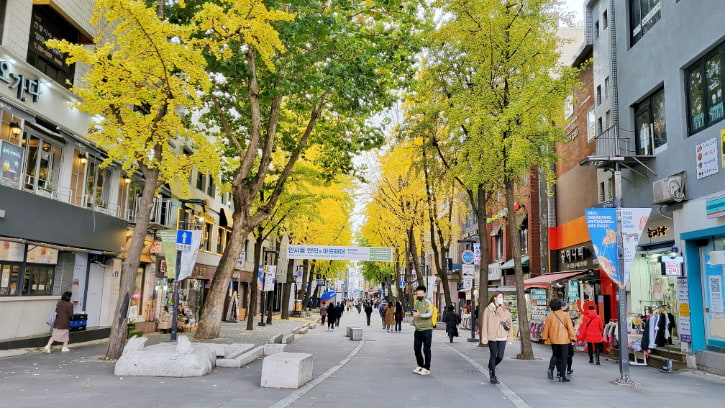 Visitors wander Insadong Street, flanked by golden ginkgo trees