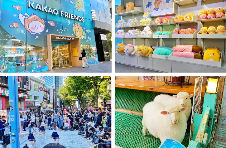 Kakao Friends store front with plushies, lively street performances, and cafe sheep in Hongdae