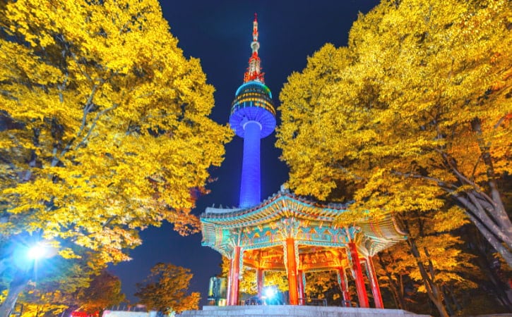 Namsan Seoul Tower's nighttime splendor, surrounded by golden ginkgoes under a starlit sky