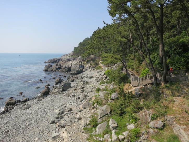 Shore of Dongbaekseom Island