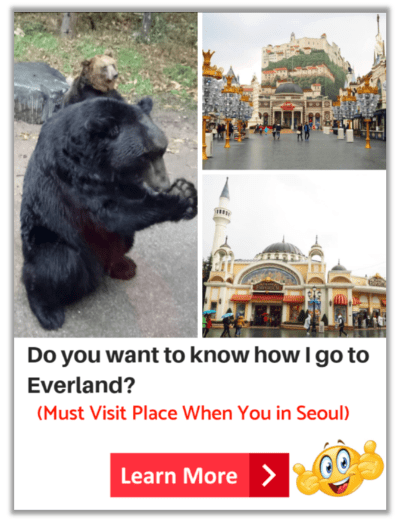Learn to go to Everland