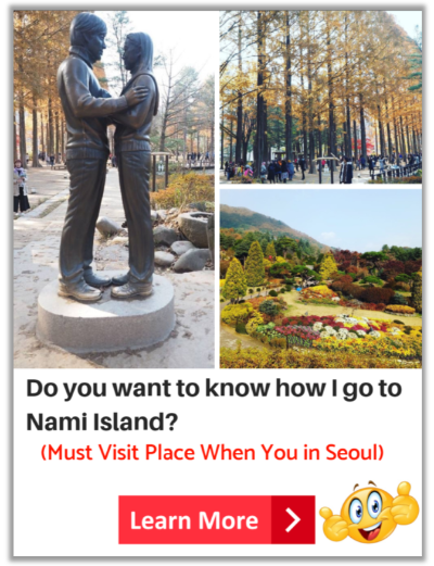 Learn to go to Nami Island