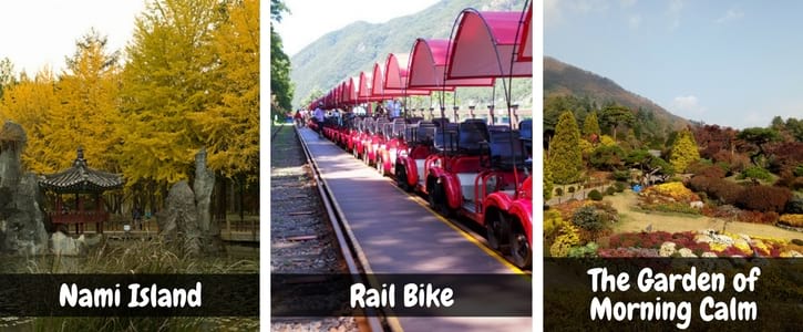 Nami Island, Rail Bike and The Garden of Morning Calm