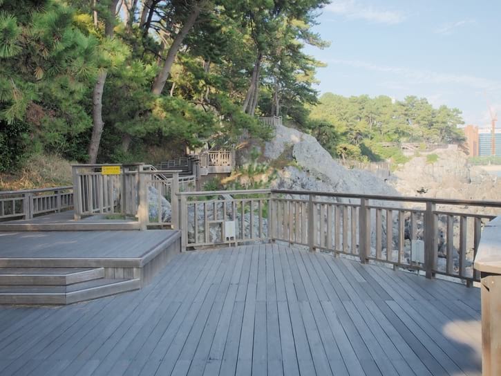 Wooden Made Walking Trails in Dongbaekseom Island