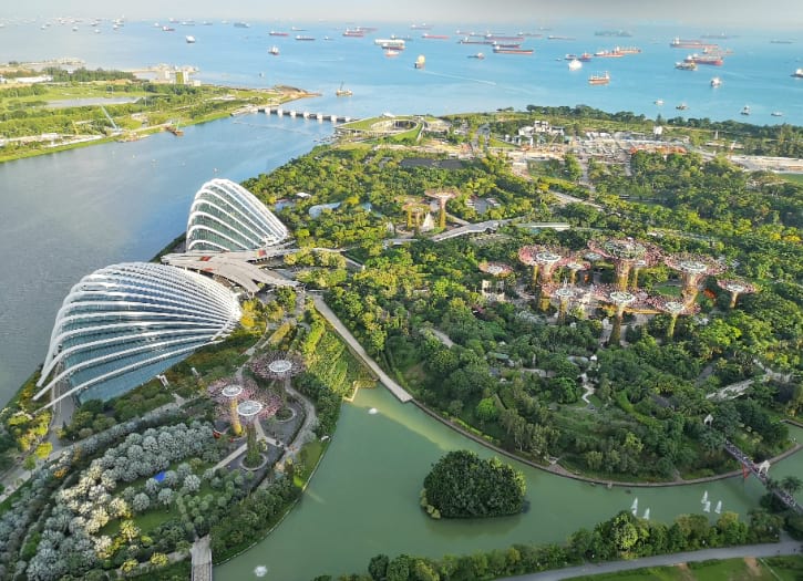 View of Gardens by the Bay from Sands SkyPark Observation Deck