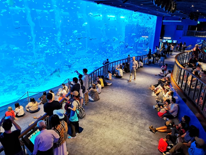 Sit and stare at the breath-taking Open Ocean Habitat