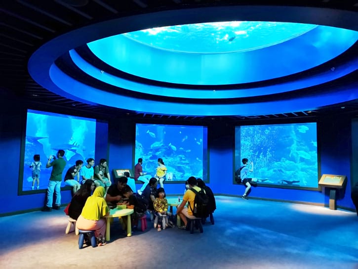 People watch fish in the Ocean Dome