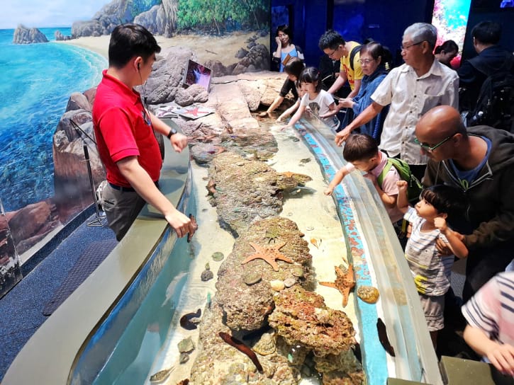 Visitors interact with sea stars at a touch pool