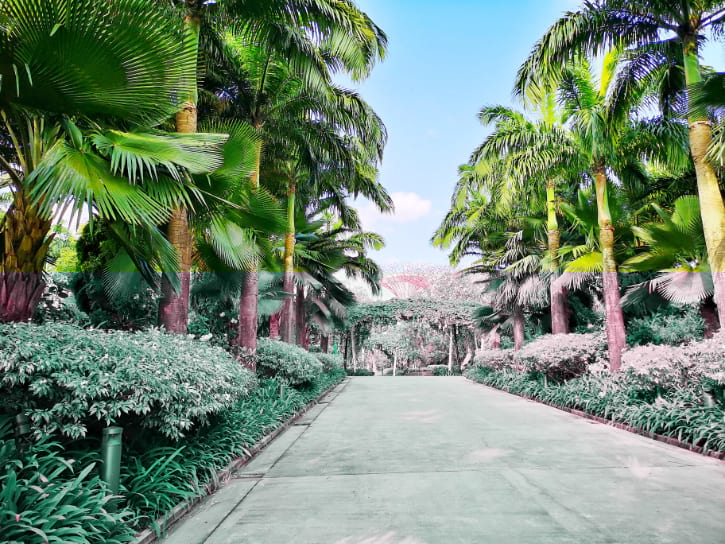 Colonial Garden