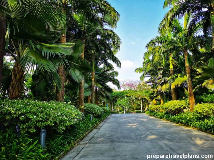 How to Go to Gardens by the Bay by MRT StepbyStep Guide