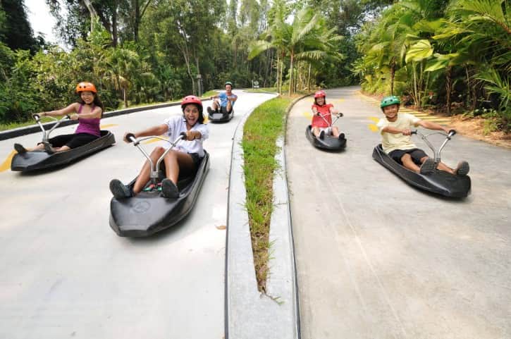 An exhilarating ride down the Sentosa Skyline Luge track in a cart