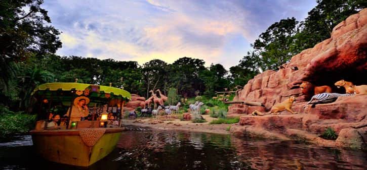 Jungle Cruise Wildlife Expeditions See Wild Animals