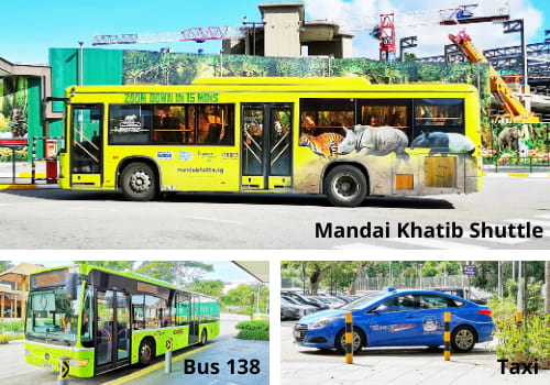 Mandai Khatib Shuttle Bus