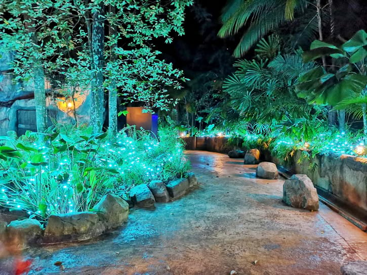 Night Safari Singapore Walking Trail