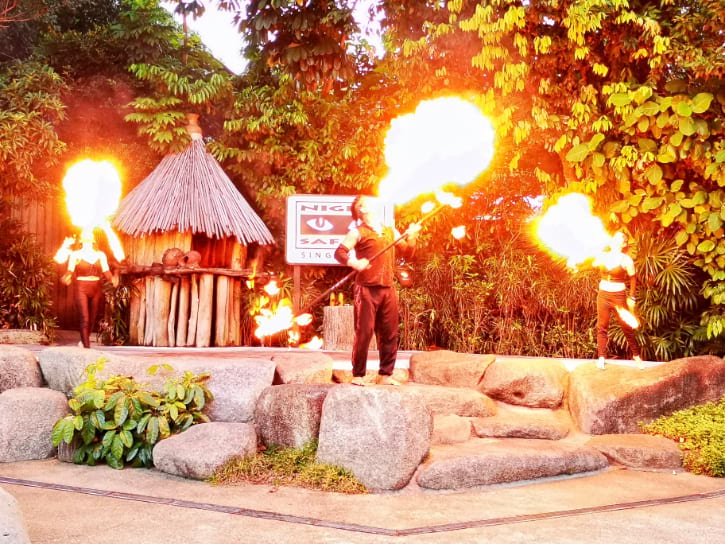 night safari singapore show time