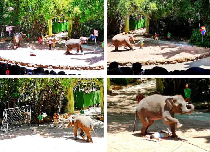 Elephant Show at Marine Park