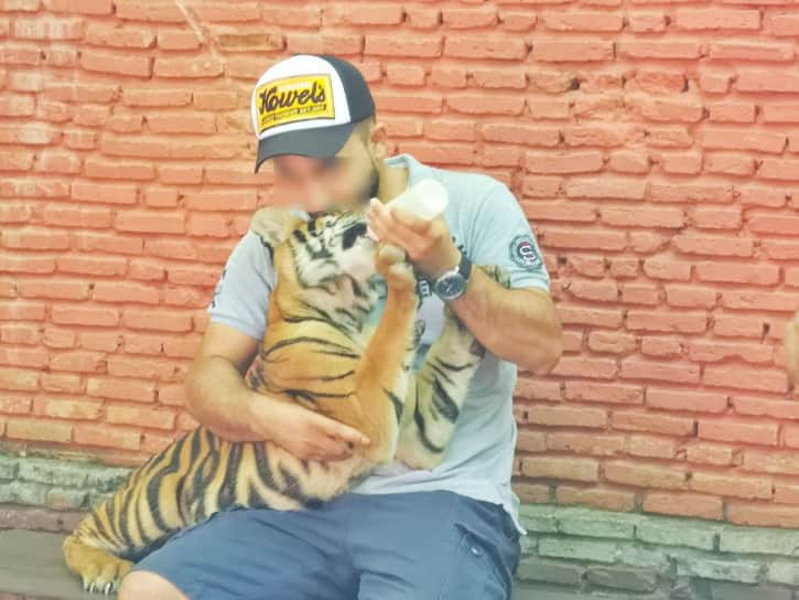 Feeding a Baby Tiger