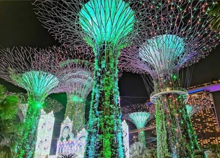 Giant Supertrees in Gardens by the Bay, a unique blend of nature and futuristic design