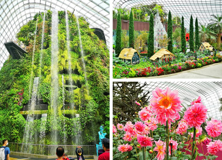 Inside the climate-controlled Flower Dome and Cloud Forest, showcasing diverse plant species