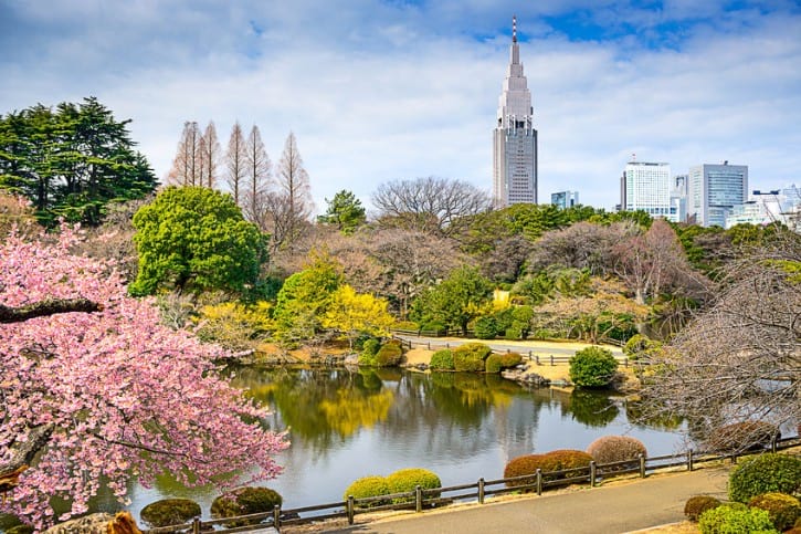 The gorgeous sights surrounding Shinjuku Gyoen National Garden