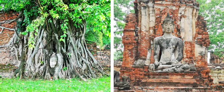 wat pho temple tour