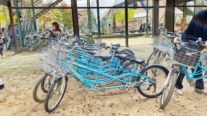 Cycling on Nami Island