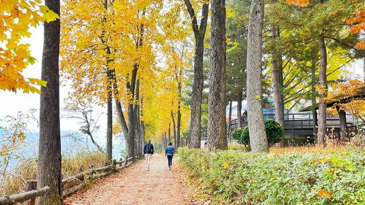 Tulip Tree Lane and Weeping Willow Lane