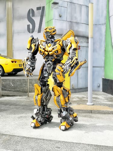 Bumblebee Transformers