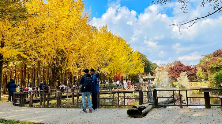 Dodamsambong Garden Surrounding