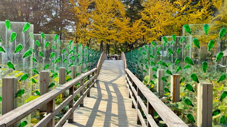 First Kiss Glass Sequoia Bridge in Nami Island