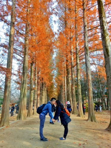 10 Best Things to Do in Nami Island You Can't Miss in 2022