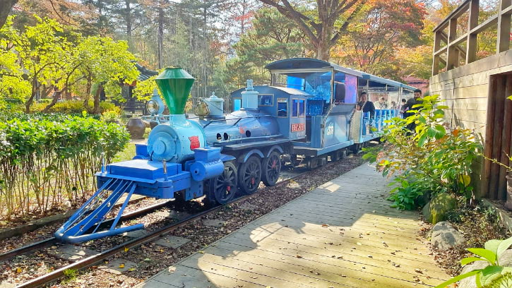 UNICEF Charity Train in Nami Island