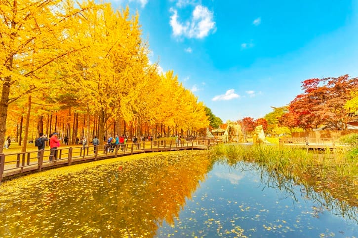 prepare travel plans nami island