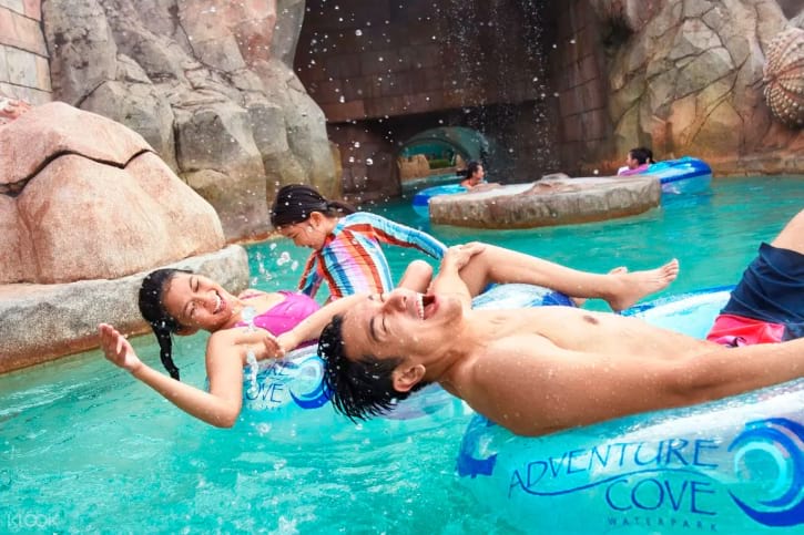 Adventure Cove Waterpark