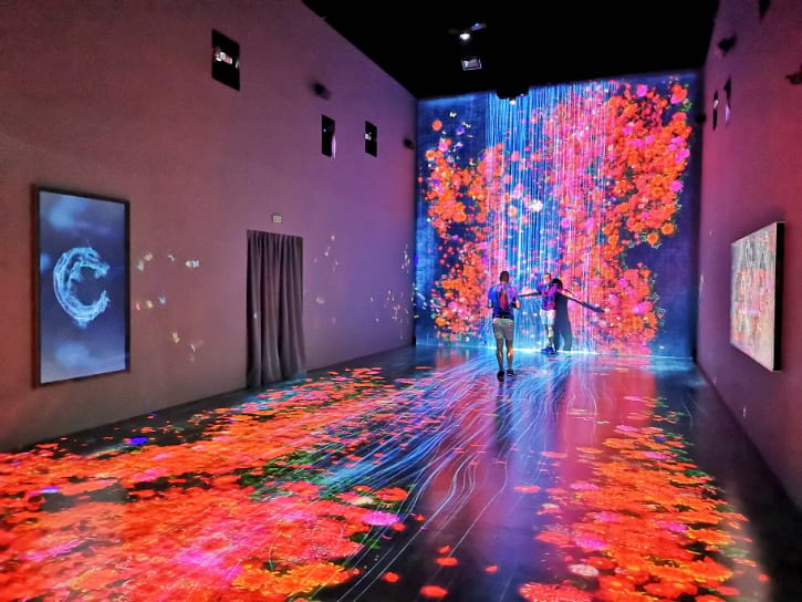 Digital Installations at ArtScience Museum