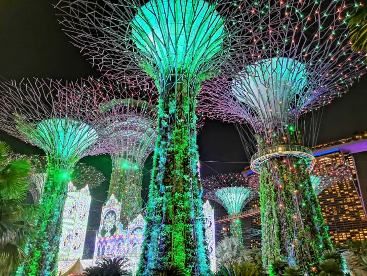 Illuminated Supertree Grove at Gardens by the Bay in Singapore at Night