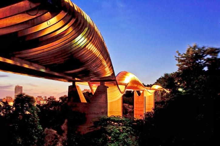 Henderson Waves Bridge in Singapore