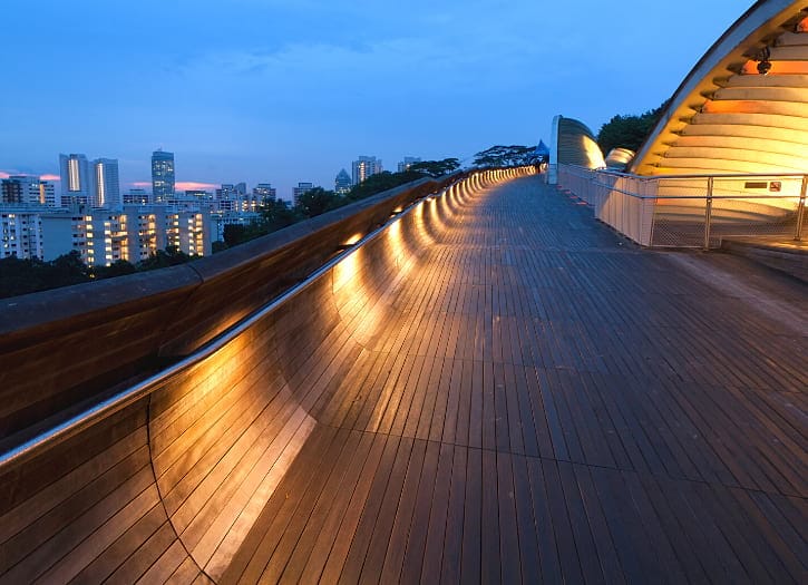 Henderson Waves Bridge