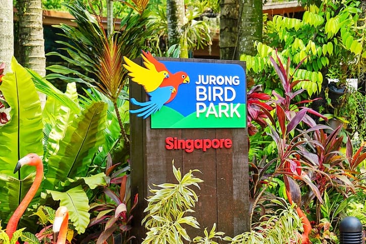 Jurong Bird Park