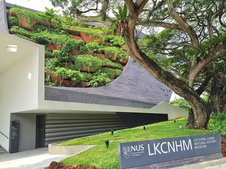 Lee Kong Chian Natural History Museum