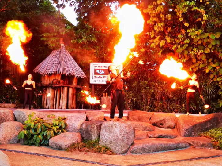 Night Safari Singapore