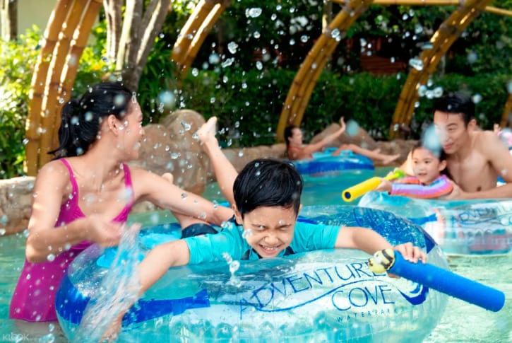 Adventure Cove Waterpark