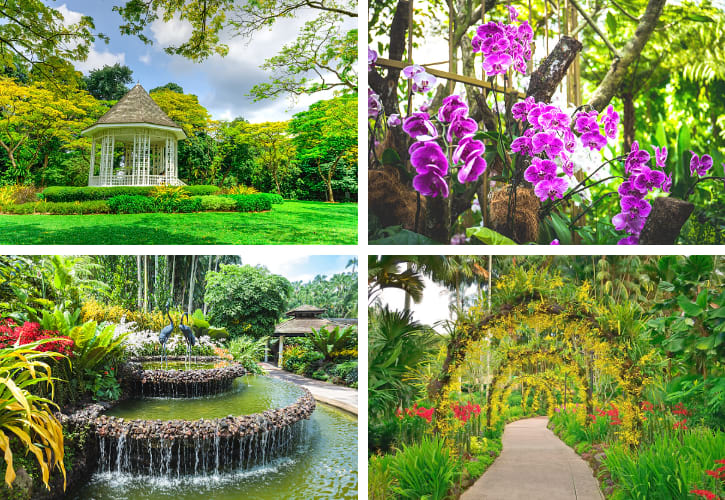 Singapore Botanic Gardens