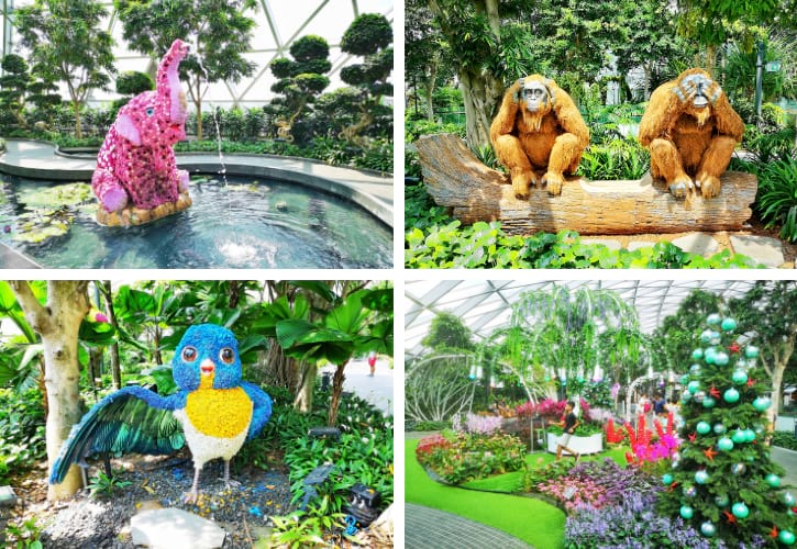 Canopy Park scenes: a floral dolphin fountain, orangutan statues and a bright parrot sculpture