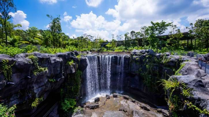 Breathtaking waterfall at Mandai Wildlife West, set amidst lush greenery