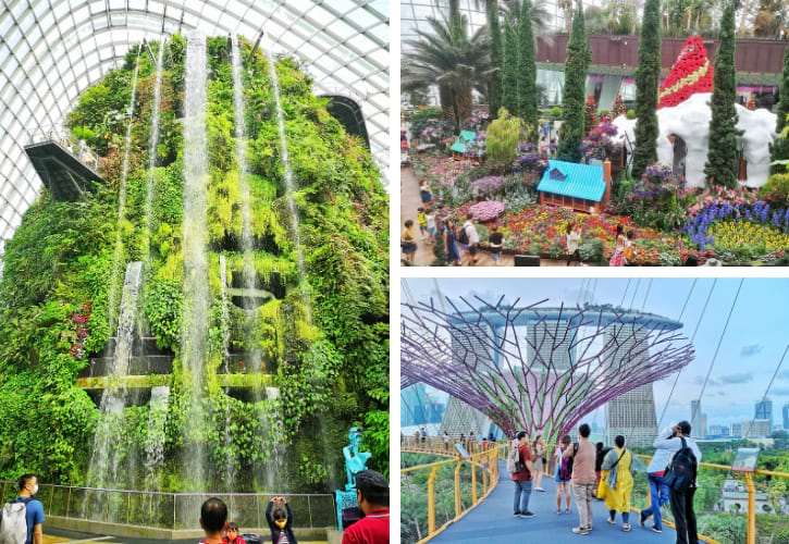 Experience Garden Bliss with Cloud Forest, Flower Dome, and OCBC Skyway